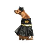 Disfraz para perro falda negra y cuernos un