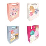 Bolsa de regalo diseños a 30x40cm un